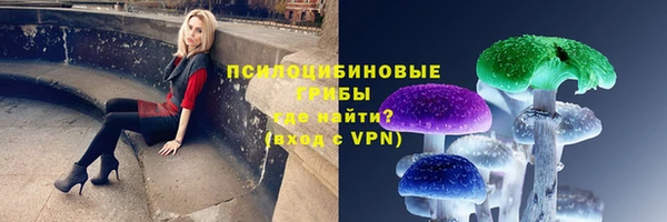 а пвп мука Дмитров