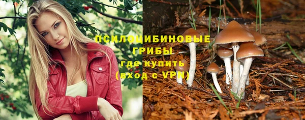 mix Дмитриев