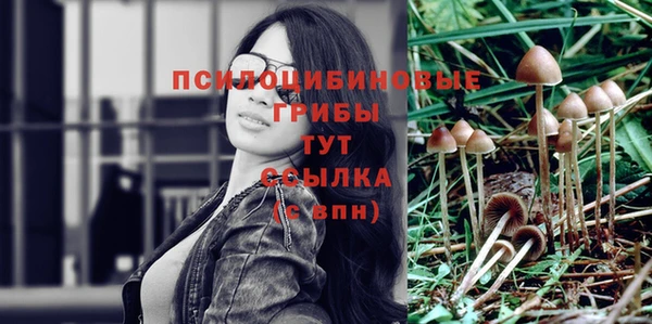mix Дмитриев