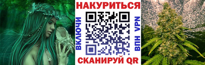 Купить где  Пикалёво  Марихуана гибрид 